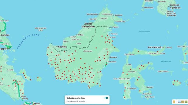 Kebakaran Hutan Parah Kepung Kalimantan, BNPB Buka Suara