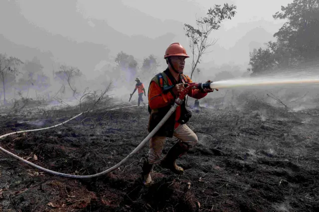 Karhutla 2026 Meluas dan Hanguskan Ribuan Hektare di Tengah El Nino Godzilla