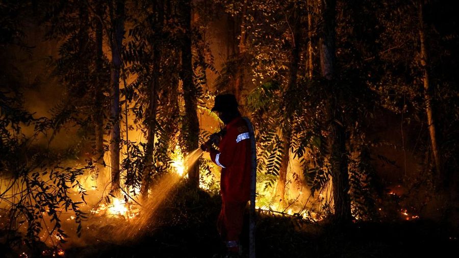 Karhutla di Mana-mana di Kalimantan, Ini Daftar Titik Wilayahnya